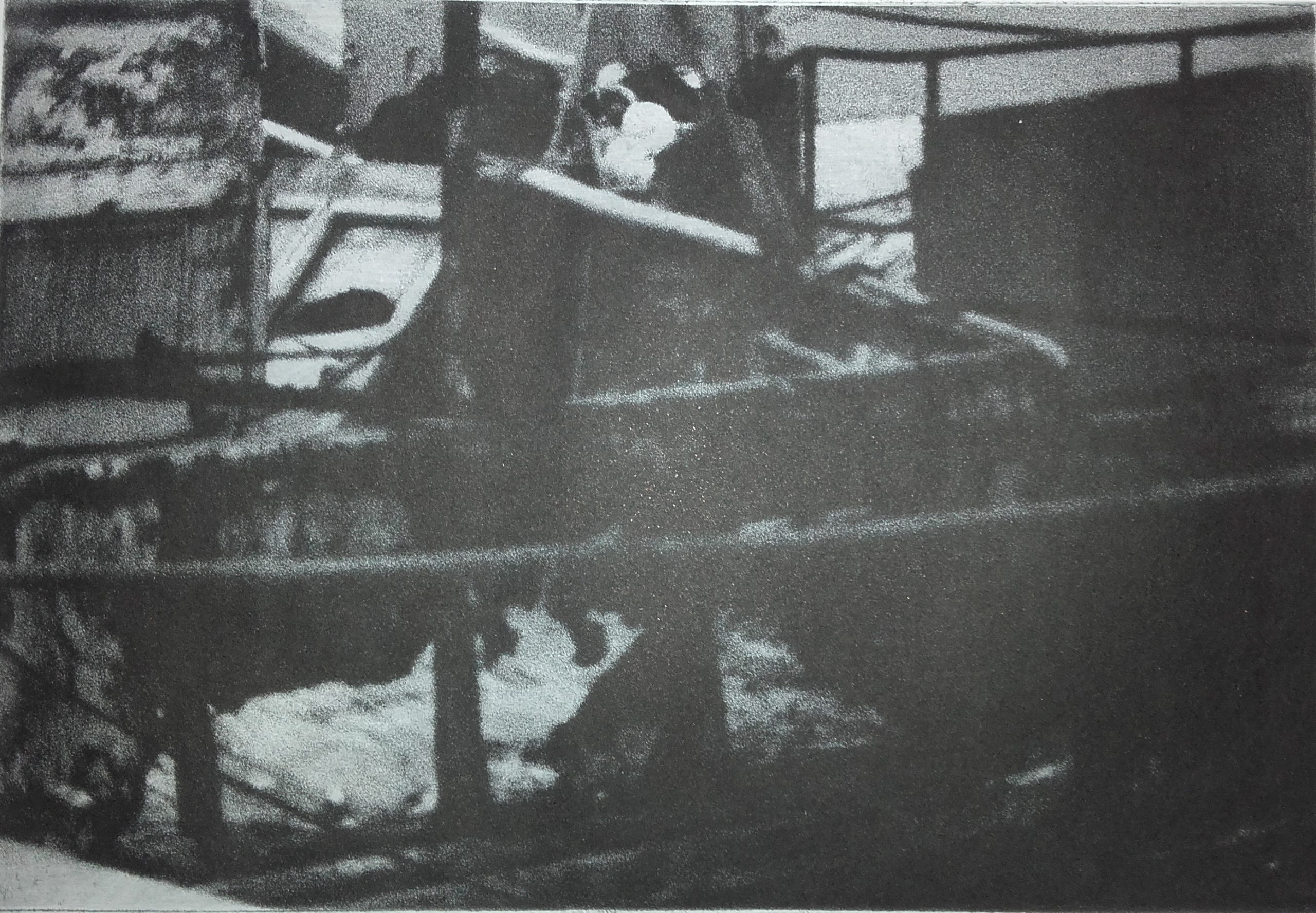 Adriana Furstner | Serie fotograbado. Parte abstracta. Impresión con tinta negra. 24,5 x 17 cm. 2018